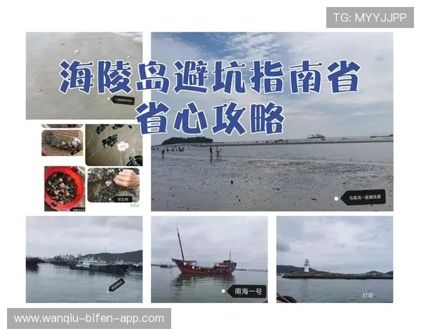 开云玩球怎么买单双避坑攻略电子真人防骗指南